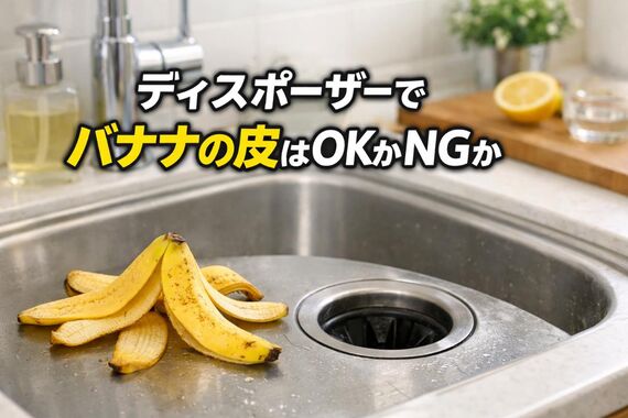 06 ディスポーザー バナナの皮